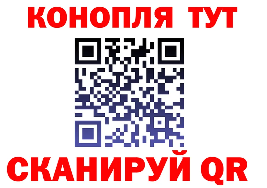 ГАШ Изолятор как зайти площадка OMG Николаевск-на-Амуре