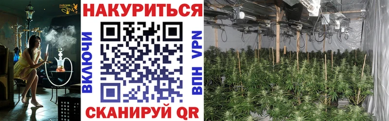 Канабис конопля  купить закладку  Николаевск-на-Амуре 
